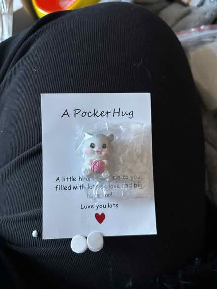 Photo of free Small pocket hug (BS3 bedminster) #1