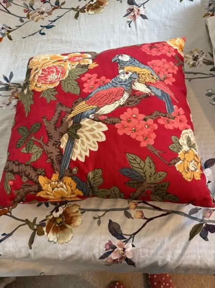Photo of free Cushion. (Old Windsor SL4) #1