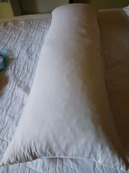 Photo of free Body pillow (60th cedar ave 19143) #1