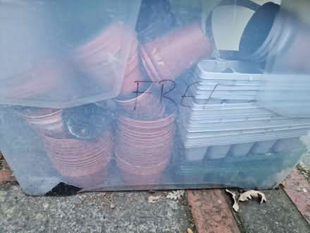 Photo of free Plant pots and seed trays (RG4) #1