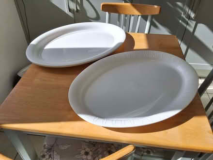 Photo of free 3 Large Catering size plastic food platters. (Letchworth SG6) #1