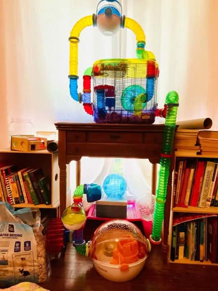 Photo of free Hamster or small animal stuff (Potomac MD) #2