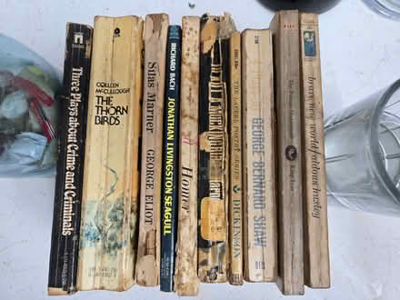 Photo of free Classic literature paperbacks (Clearwater 33763) #4
