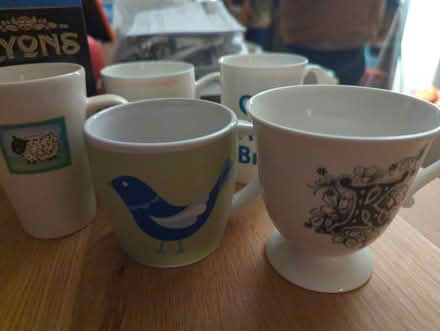 Photo of free Teas and mugs (Craiglockhart EH14) #2