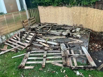 Photo of free Wood if wanted maybe for bonfires (Bramley LS13) #1