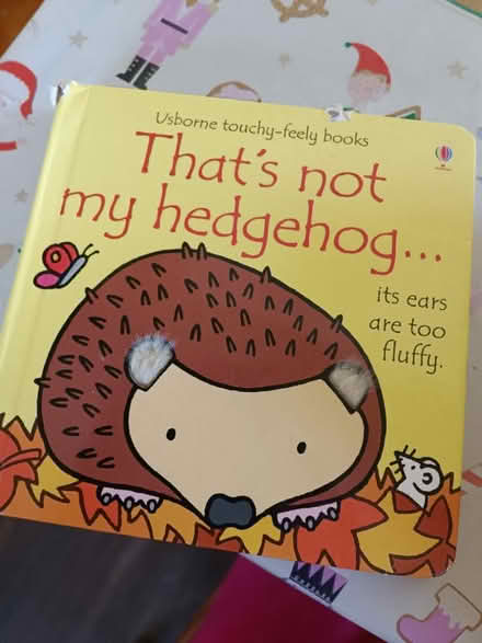 Photo of "That's not my..." books (Norton Lees, S8) #1