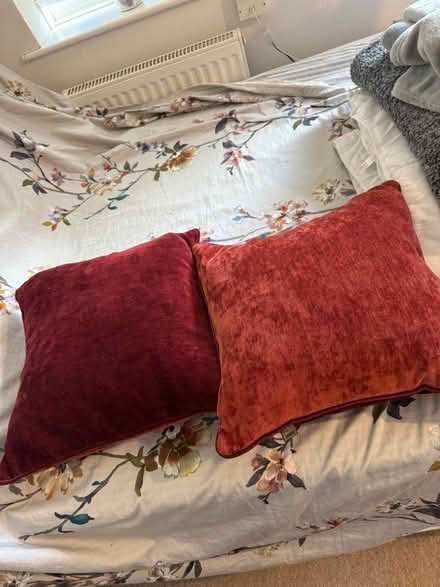 Photo of free Two Cushiond (Old Windsor SL4) #1