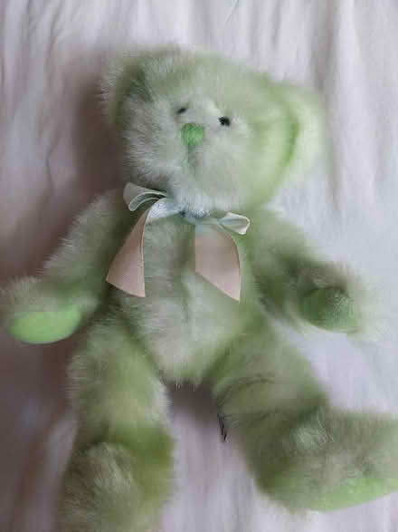 Photo of free Russ green teddy (New Marston OX3) #1