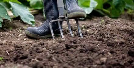Photo of free garden soil (Hove BN3) #1
