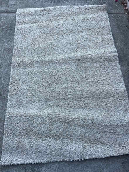 Photo of free Ran shag rug 4x6 (Central San Rafael) #1