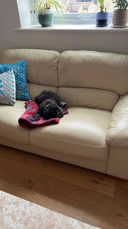 Photo of free Cream sofa (Forest Hill, SE23) #1