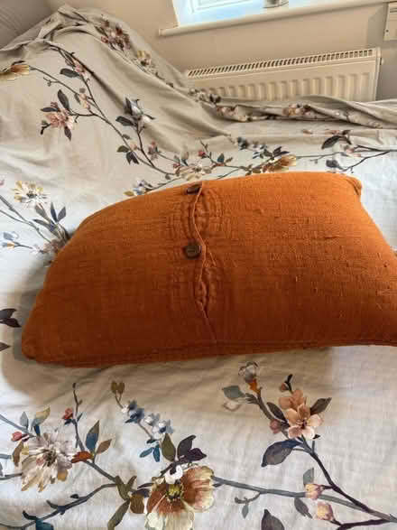 Photo of free Cushion (Old Windsor SL4) #1