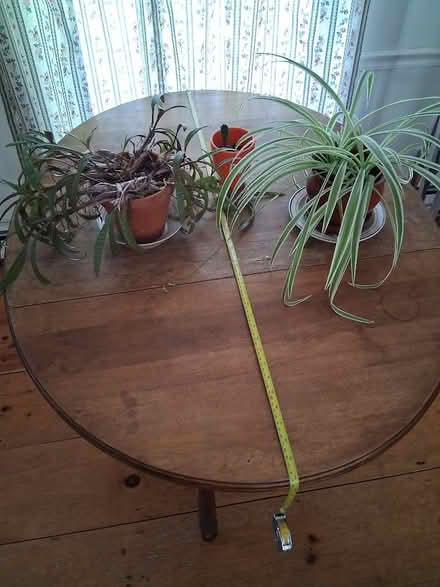 Photo of free Oval table with drop sides (Townsend) #1