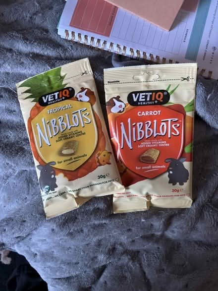 Photo of free Guinea pig / Rabbit accessories (BS3 bedminster) #1