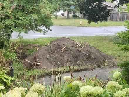 Photo of free Mixed fill / Topsoil ~4-5 yards (Mooney's bay) #1