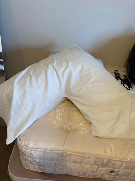 Photo of free V shaped pillow. (Garsington OX44) #1