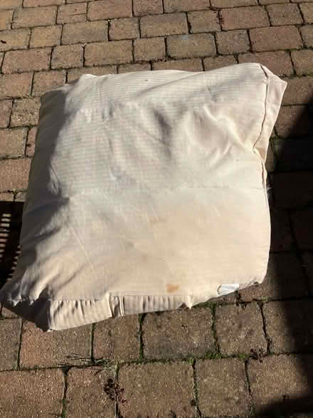 Photo of free 3 bare sofa cushions (Llandaff CF5) #1