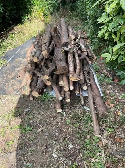 Photo of free Seasoned Logs (HA7, Stanmore) #1