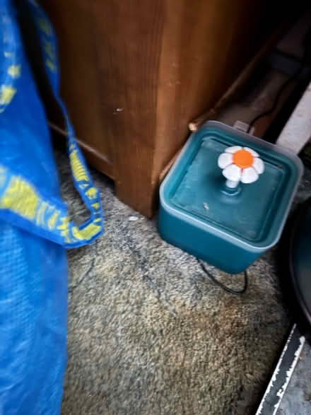 Photo of free Kitty water fountain (BS3 bedminster) #1