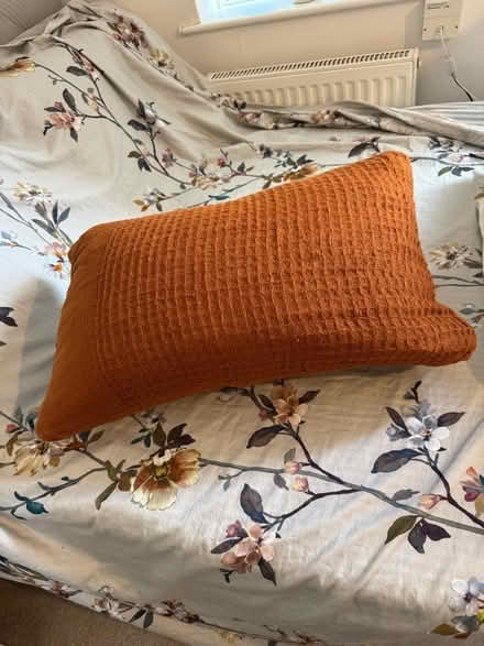 Photo of free Cushion (Old Windsor SL4) #2