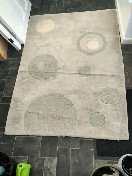 Photo of free Large rug (South Oxford OX4) #1