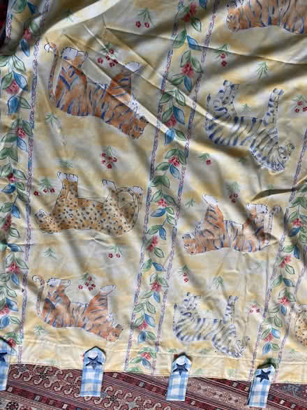 Photo of free Curtains (Askew Road W12) #3