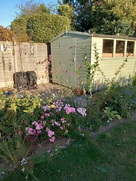 Photo of free Garden Shed (Felixstowe) #2