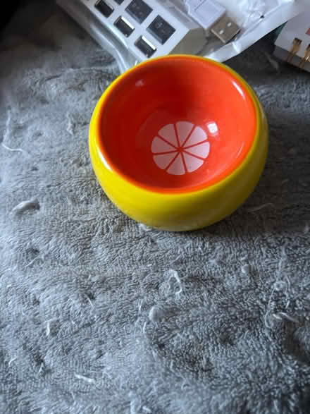 Photo of free Guinea pig / Rabbit accessories (BS3 bedminster) #2