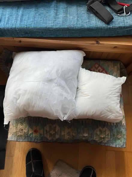 Photo of free Two cushion shams, new. (Wivenhoe CO7) #1