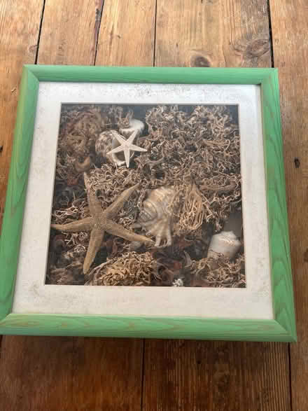 Photo of free Vintage shell picture in box frame (East Didsbury/Burnage M19) #1