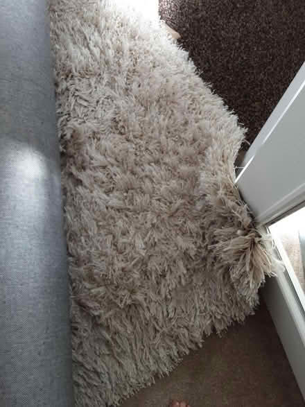 Photo of free Shagpile rug (Yarwell Mill Peterborough) #1