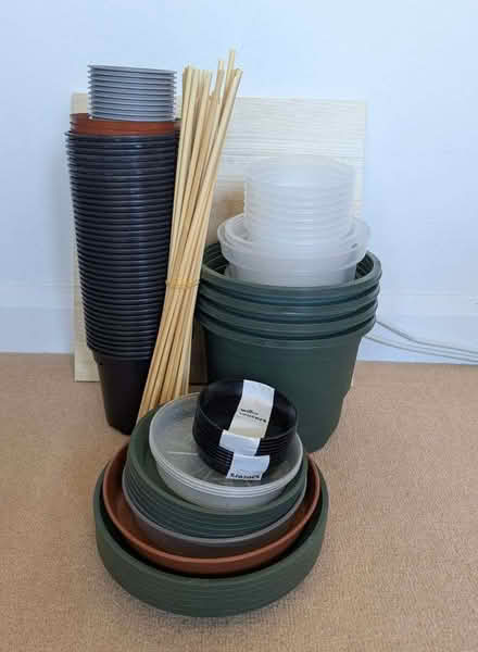 Photo of free Lots and lots of plant pots (Lee SE12) #1