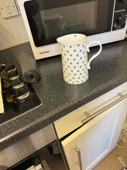 Photo of free Jug (Old Windsor SL4) #1