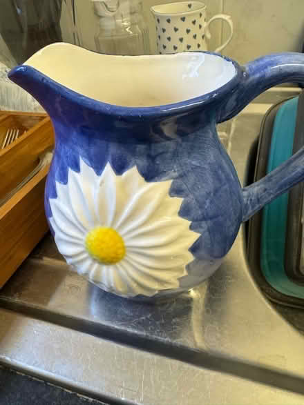 Photo of free Vase/jug (Old Windsor SL4) #1