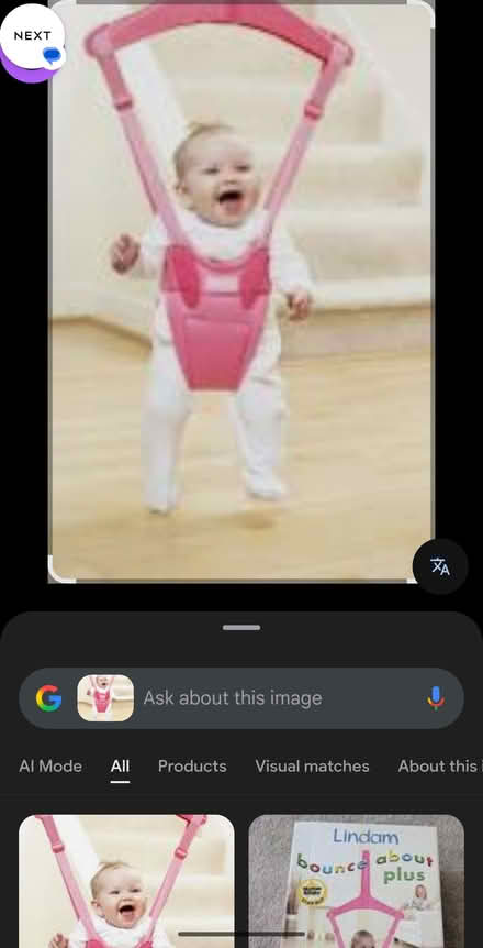 Photo of free Lindam door baby bouncer (Knighton LE2) #4