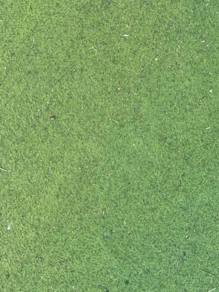 Photo of free Indoor bowling mat (Canterbury) #2