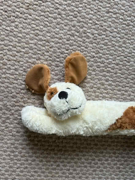 Photo of free Dog Draft Excluder (ME5) #2