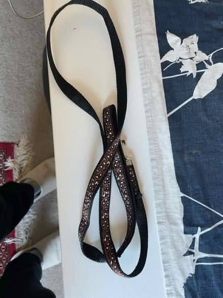 Photo of free Cat leash (WA12) #1