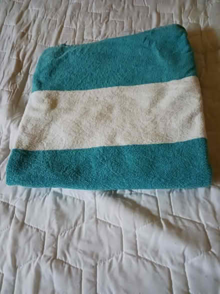 Photo of free Body pillow (60th cedar ave 19143) #2