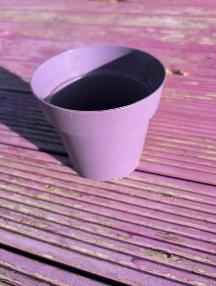 Photo of 15cm plastic pots (Bluntisham PE28) #1