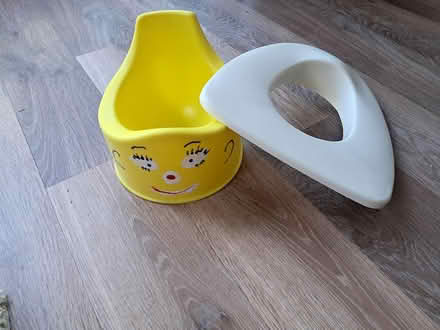 Photo of free Potty and toilet seat (Peterborough) #1