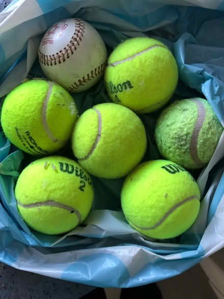 Photo of free Tennis balls (Northolt) #1