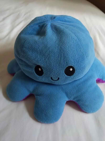Photo of free Reversible plush octopus (New Marston OX3) #1