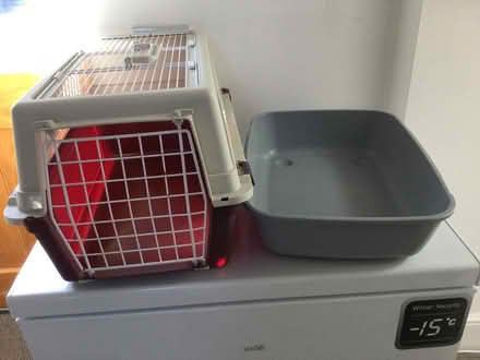 Photo of free Cat items (SY4 5NN) #1