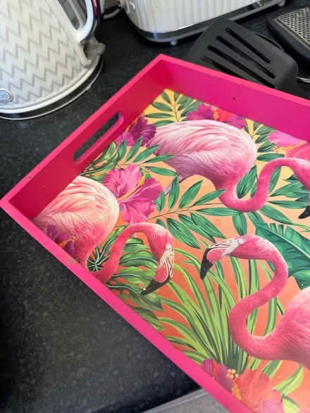 Photo of free Tray (Old Windsor SL4) #1