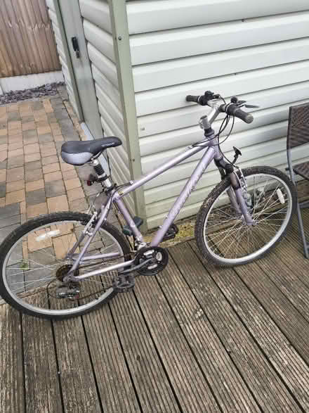Photo of free Adult bicycle (Brigg DN20) #1