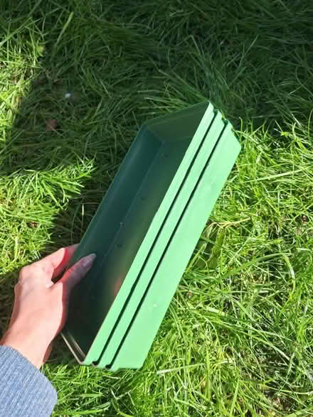 Photo of free Oasis trays (Wokingham RG40) #2