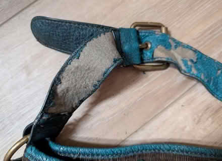 Photo of free NEXT Handbag (Carmarthen SA31) #3