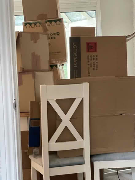 Photo of free Packing Boxes, packing paper, protective foam labels (West End KT10) #4