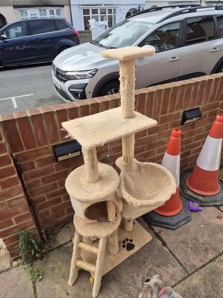 Photo of free Used tall cat tree (Medway/kent) #1